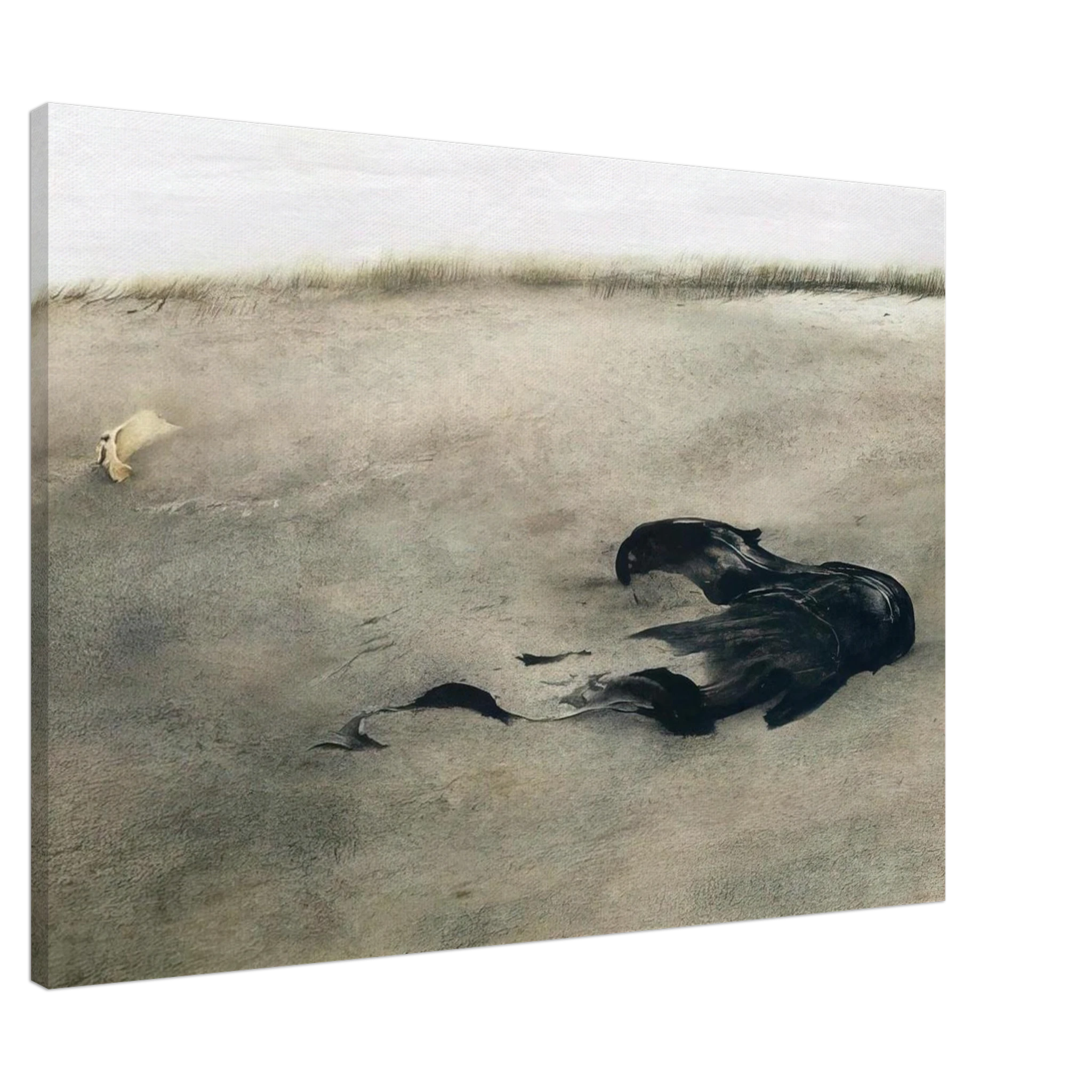 NOT DETECTED 37 Canvas | Andrew Wyeth Canvas | Andrew Wyeth Prints