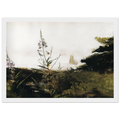 UNDER SAIL Framed Poster | Andrew Wyeth Framed Prints Wall Art | Andrew Wyeth Prints