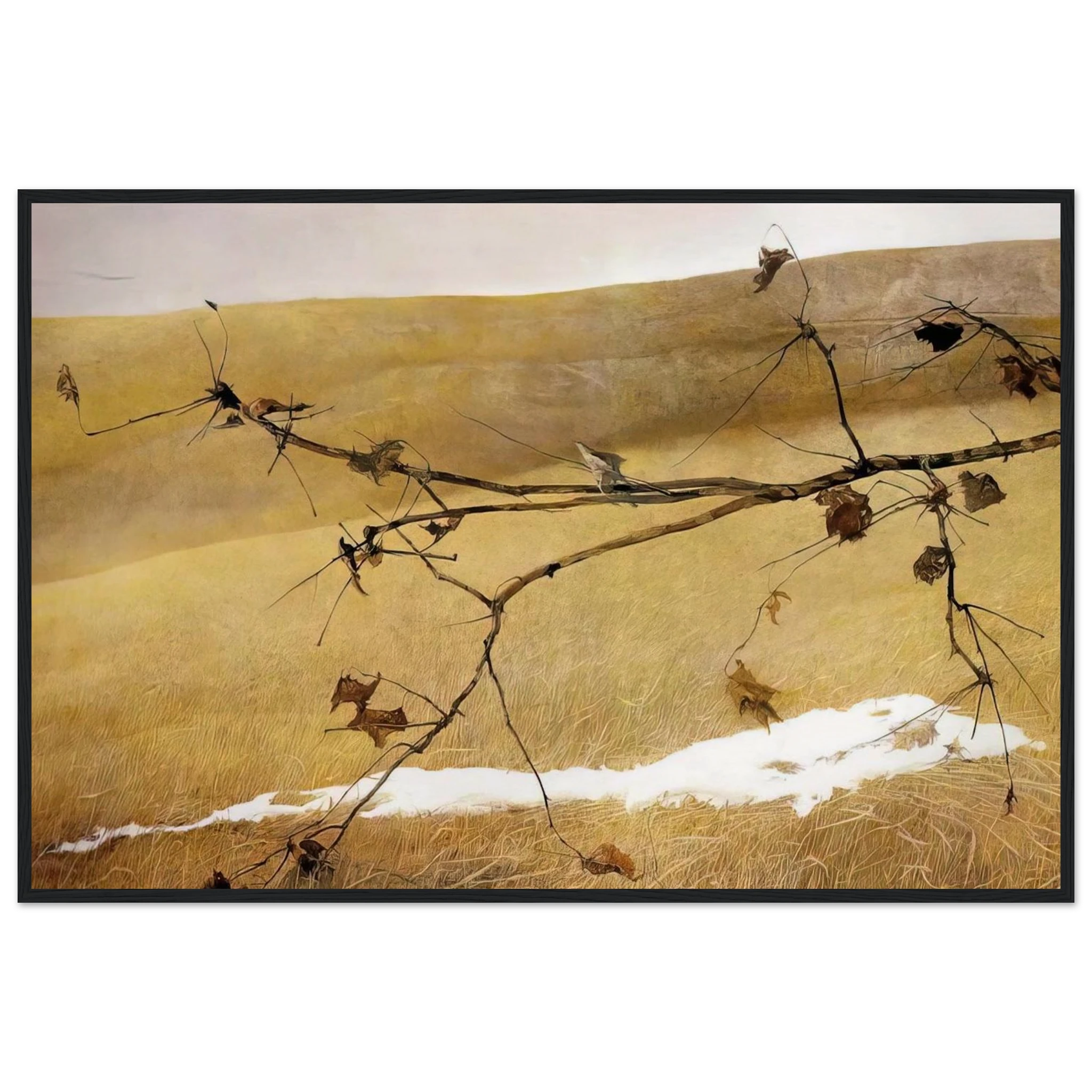 LONG LIMB Framed Poster | Andrew Wyeth Framed Prints Wall Art | Andrew Wyeth Prints