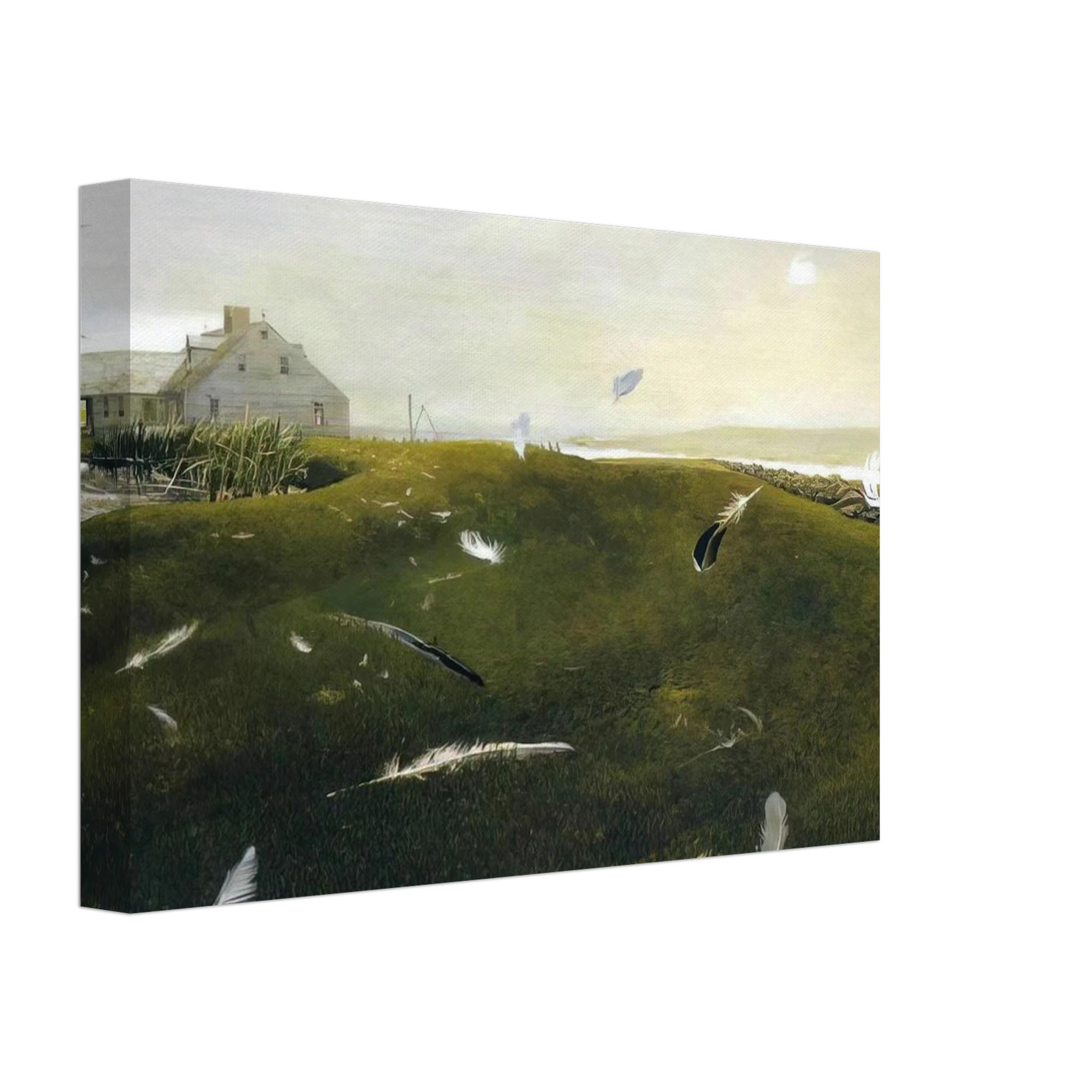 AIRBORNE Canvas | Andrew Wyeth Canvas | Andrew Wyeth Prints