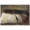 NOT DETECTED 38 Poster | Andrew Wyeth Poster | Andrew Wyeth Prints