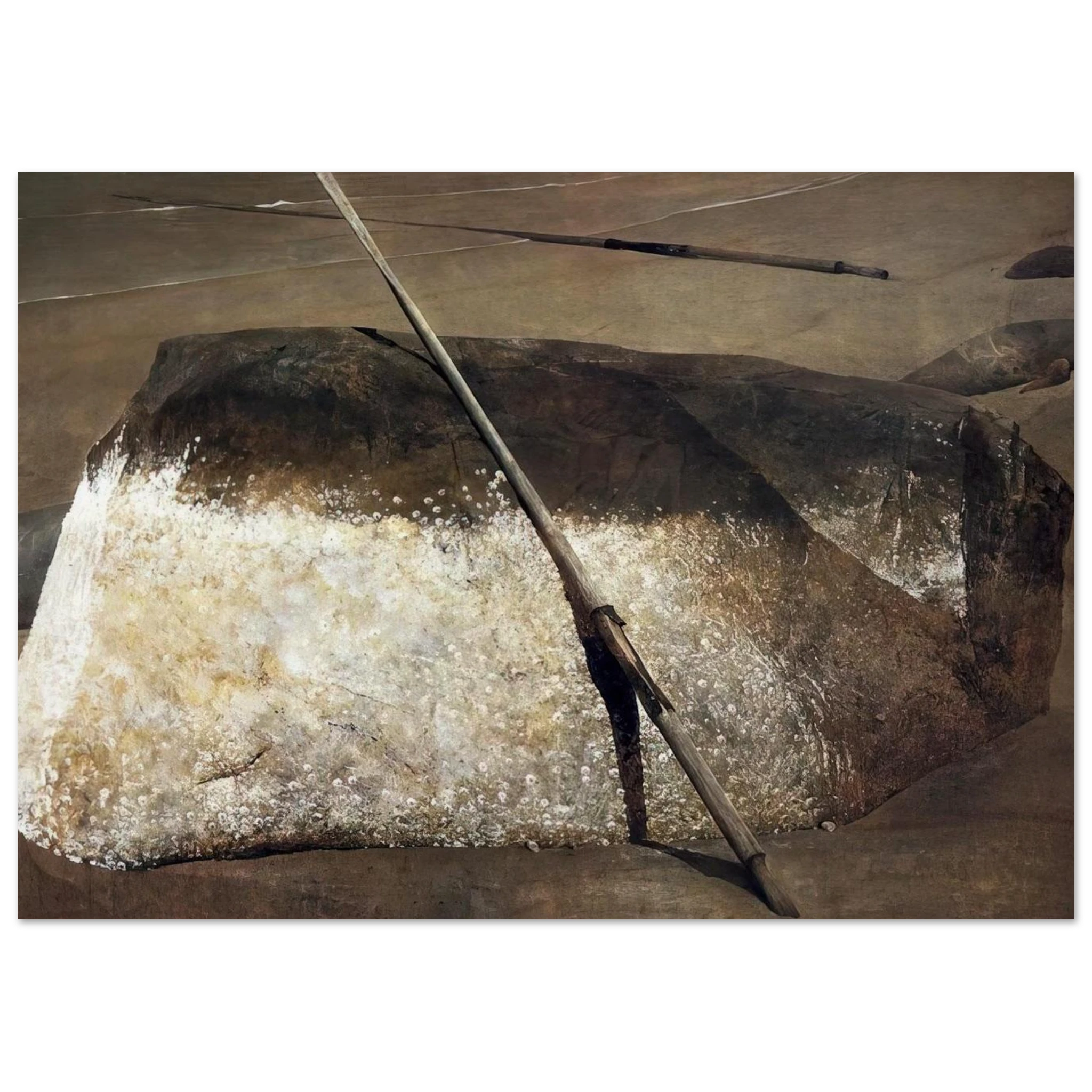 NOT DETECTED 38 Poster | Andrew Wyeth Poster | Andrew Wyeth Prints