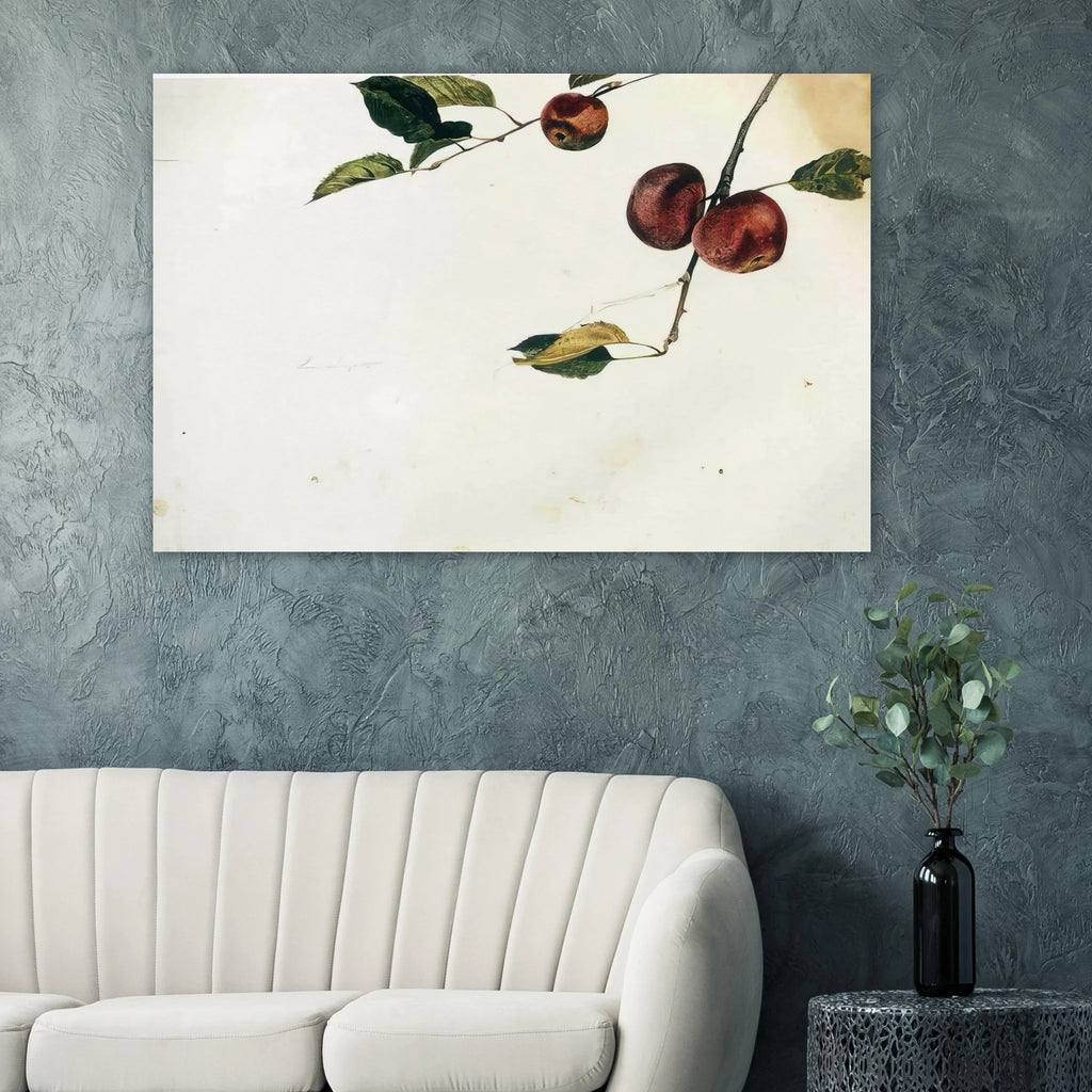 APPLES ON A BOUGH STUDY BEFORE PICKING Poster | Andrew Wyeth Poster | Andrew Wyeth Prints