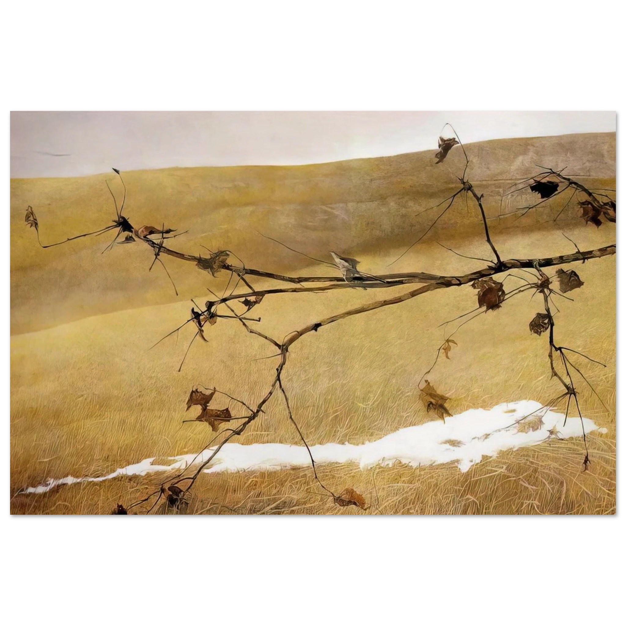 LONG LIMB Poster | Andrew Wyeth Poster | Andrew Wyeth Prints