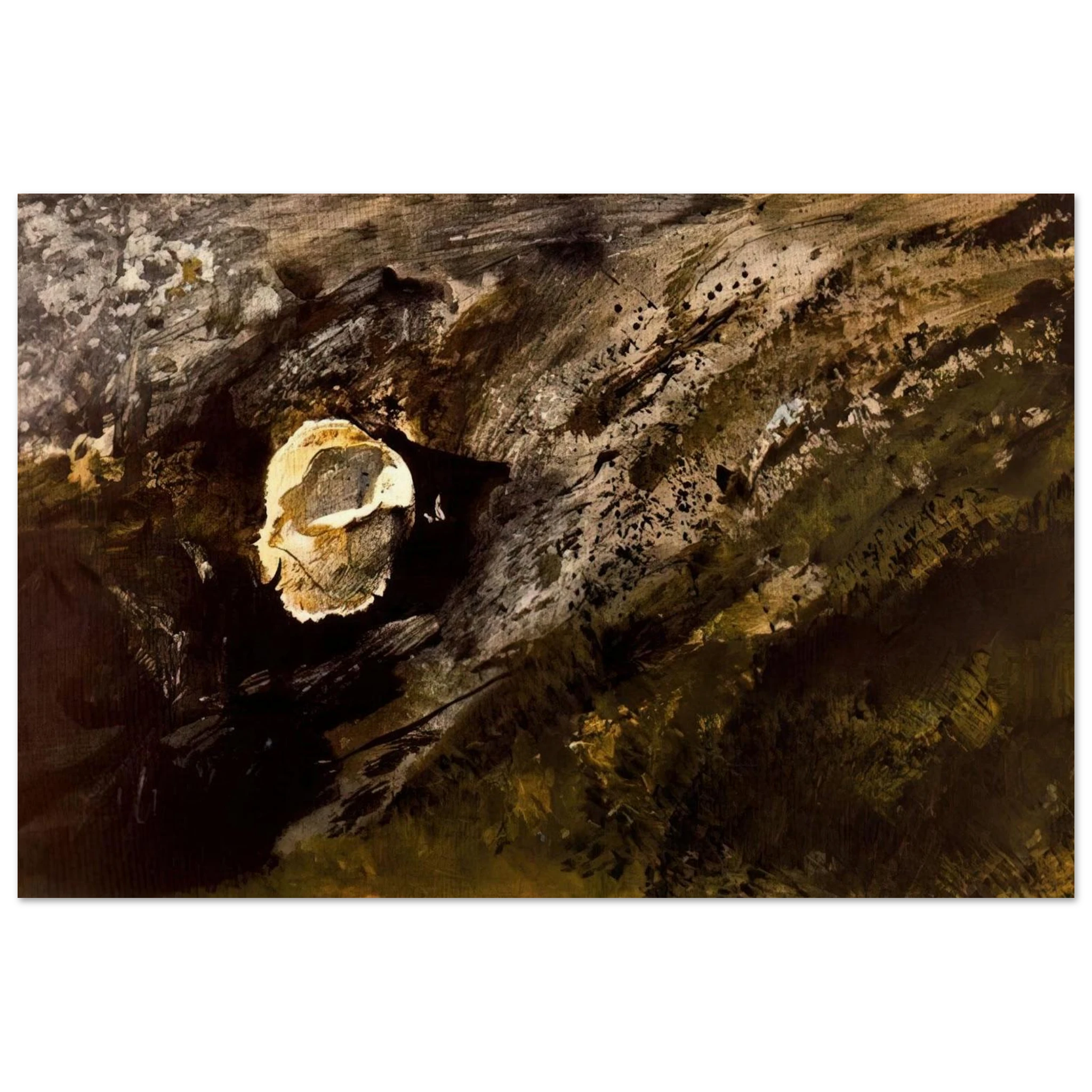 INLAND SHELL Poster | Andrew Wyeth Poster | Andrew Wyeth Prints