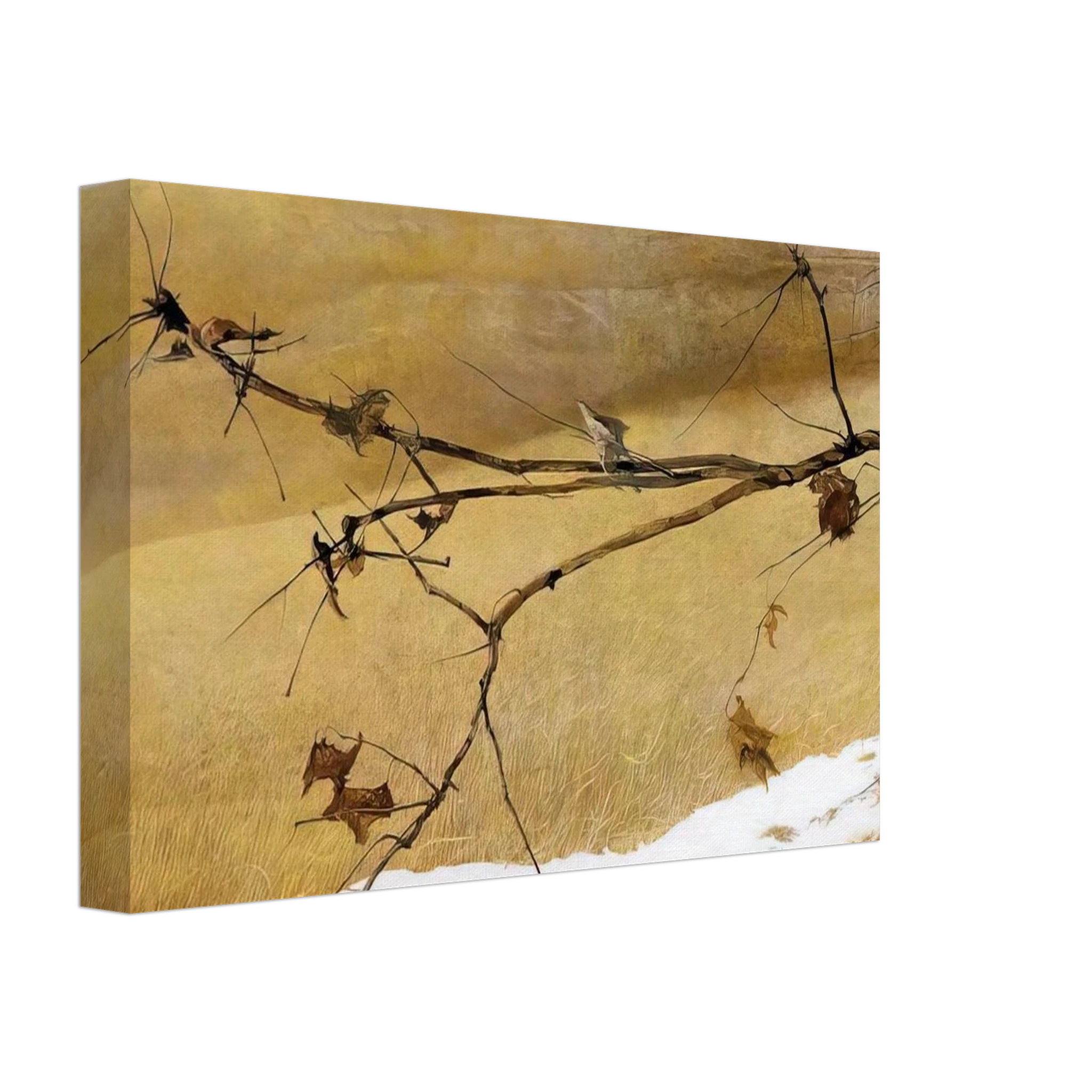 LONG LIMB Canvas | Andrew Wyeth Canvas | Andrew Wyeth Prints