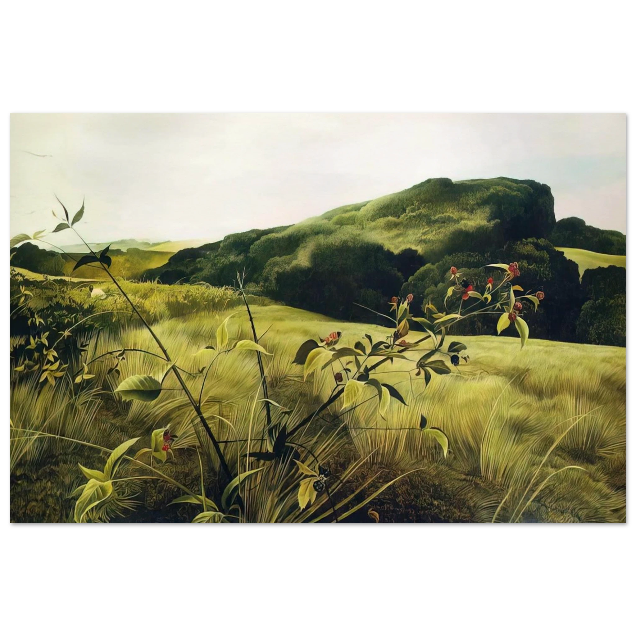 BLACKBERRY PICKER Poster | Andrew Wyeth Poster | Andrew Wyeth Prints