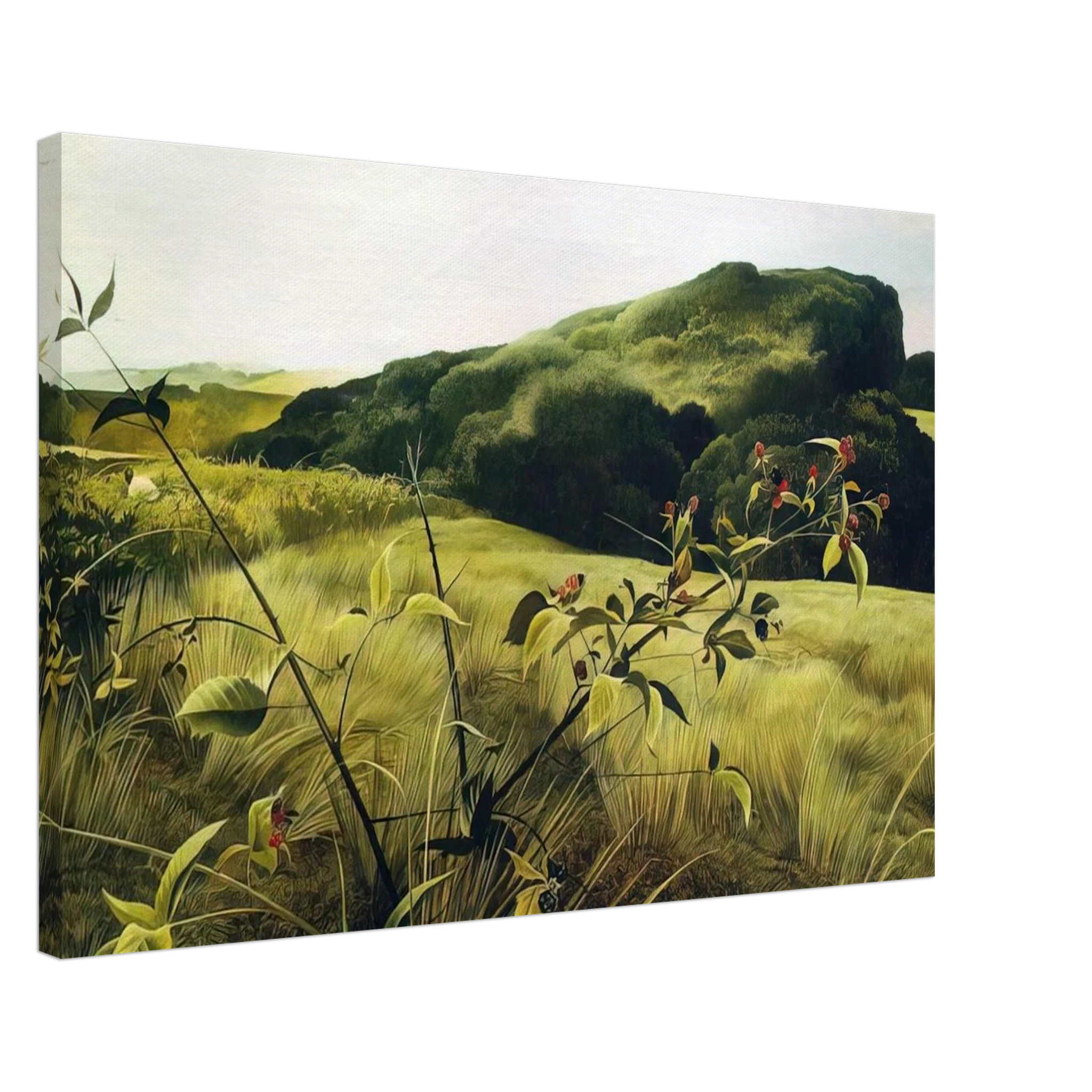 BLACKBERRY PICKER Canvas | Andrew Wyeth Canvas | Andrew Wyeth Prints