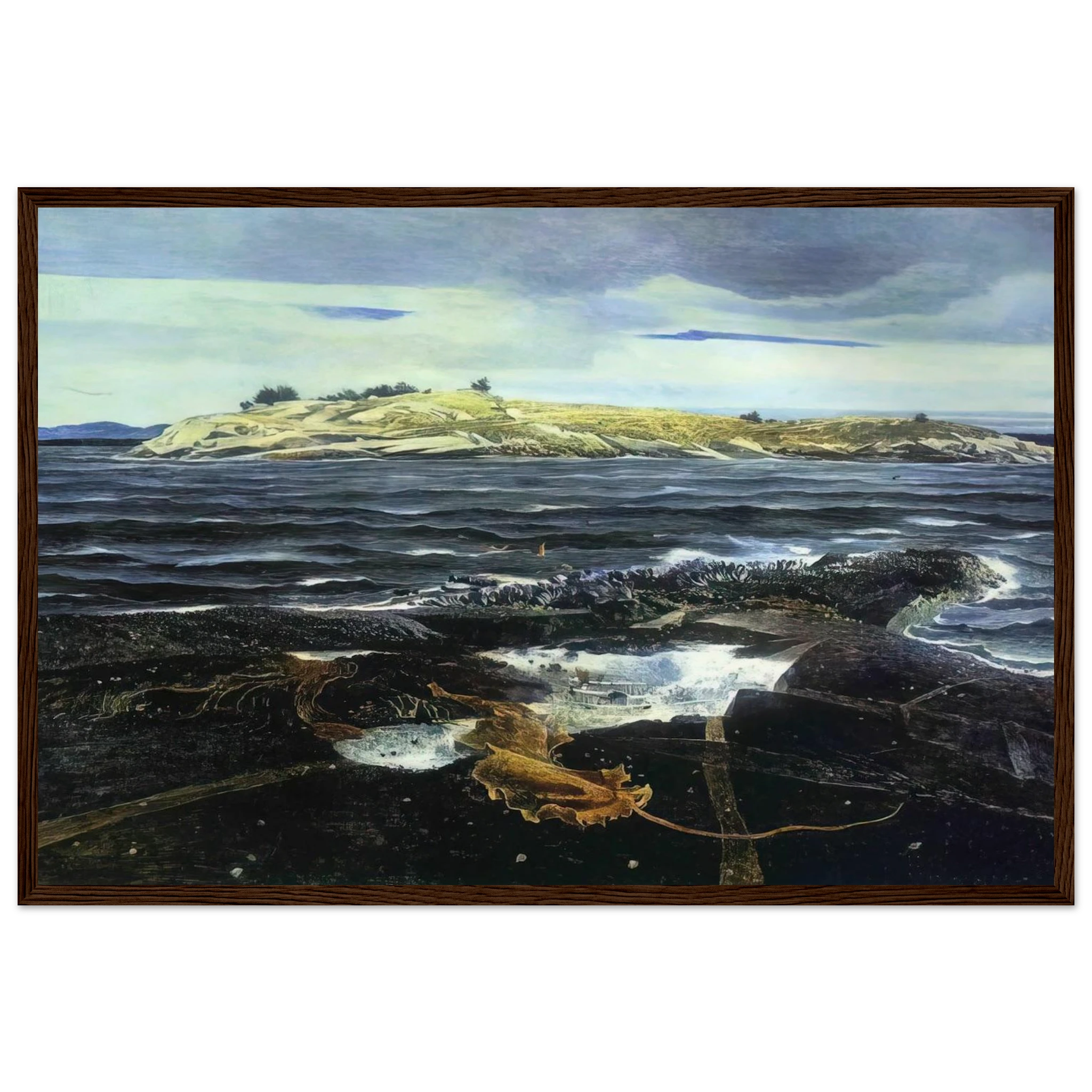 LITTLE CALDWELLS ISLAND Framed Poster | Andrew Wyeth Framed Prints Wall Art | Andrew Wyeth Prints
