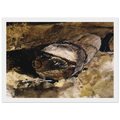 LOG CHAIN Framed Poster | Andrew Wyeth Framed Prints Wall Art | Andrew Wyeth Prints