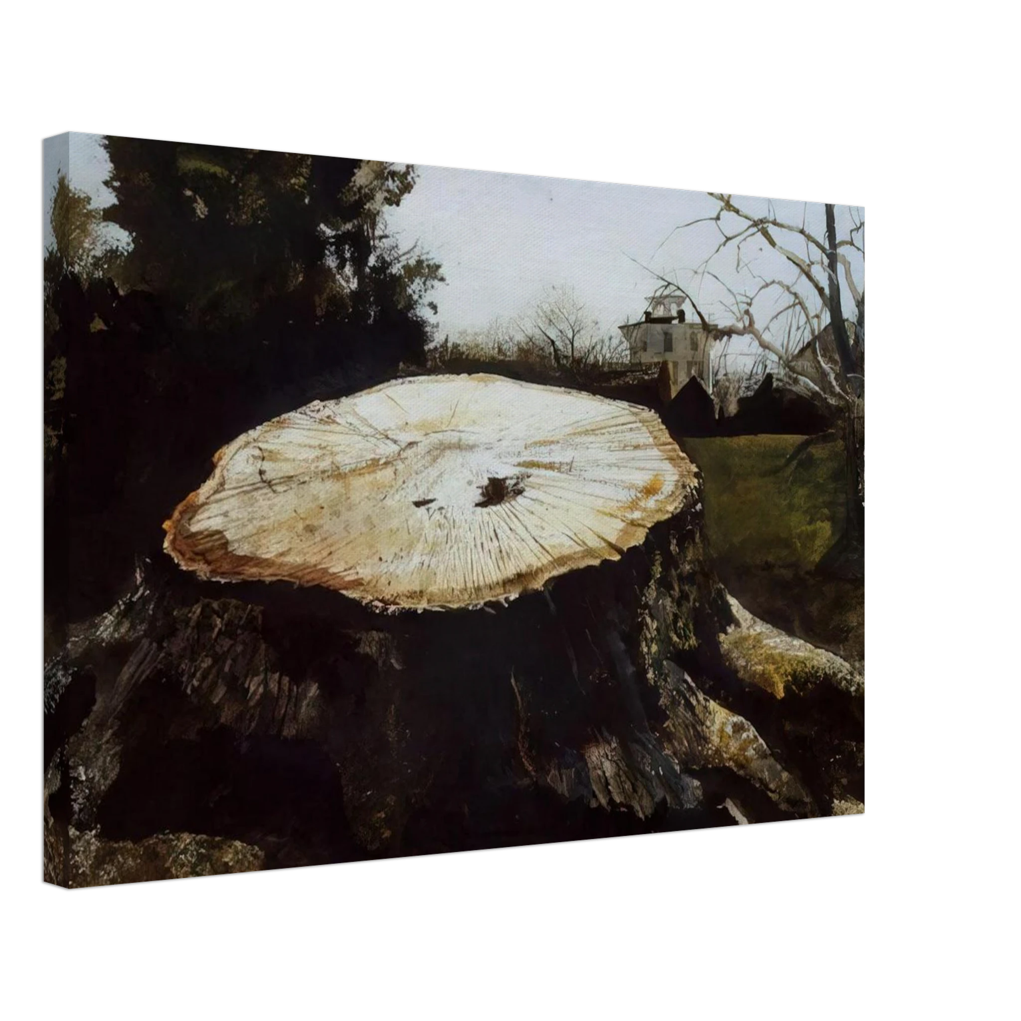 THE BIG OAK Canvas | Andrew Wyeth Canvas | Andrew Wyeth Prints