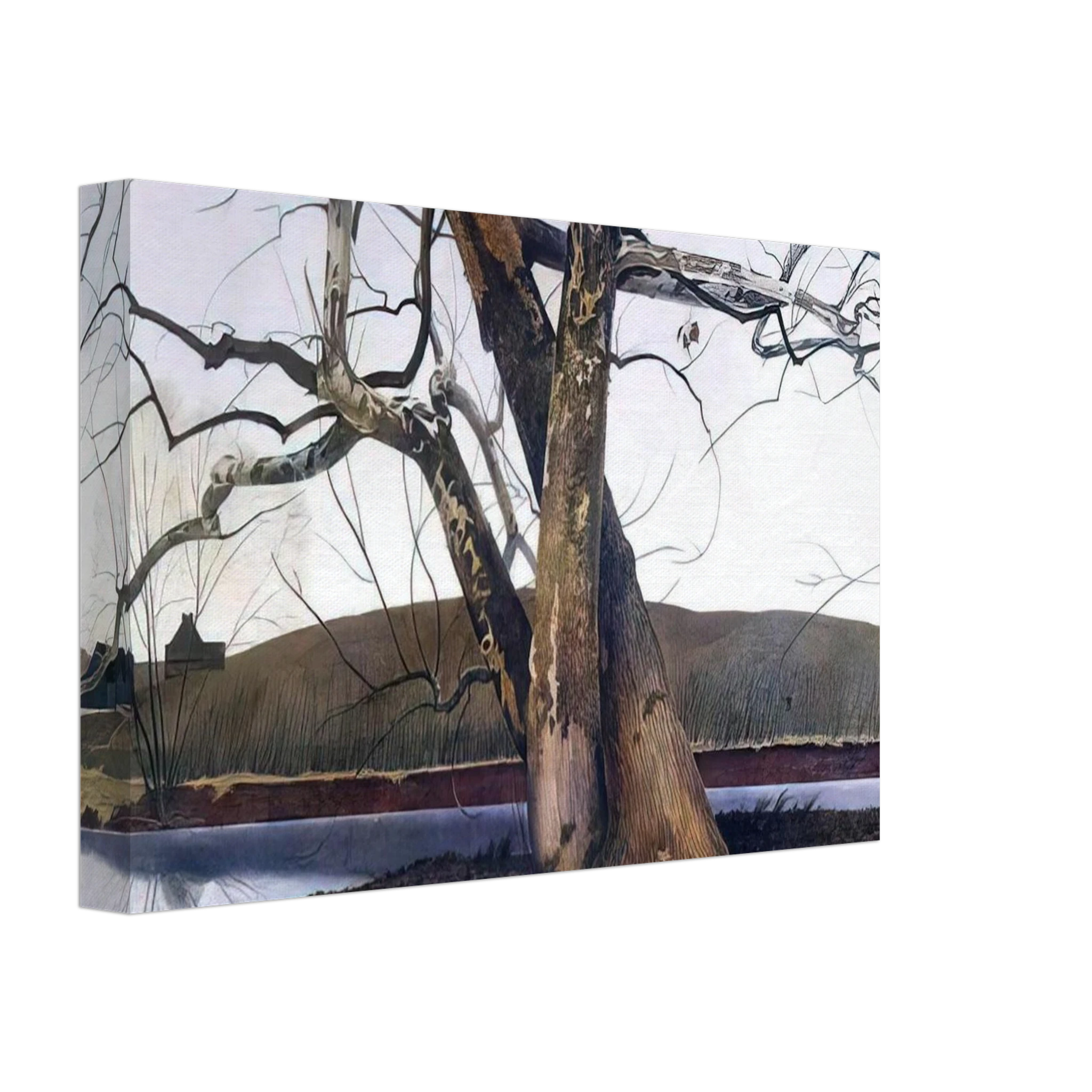 DIL HUEY FARM Canvas | Andrew Wyeth Canvas | Andrew Wyeth Prints