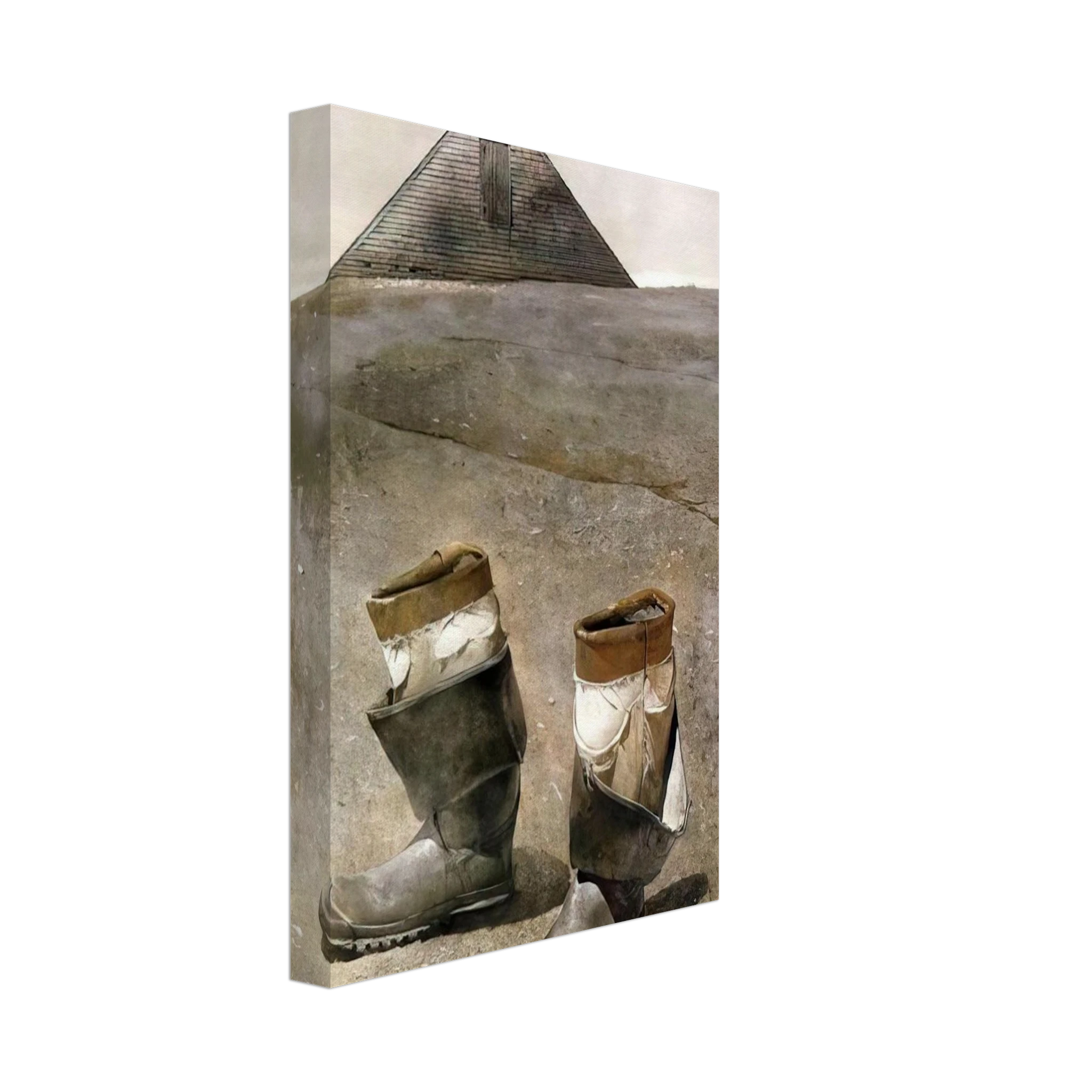 SEA BOOTS Canvas | Andrew Wyeth Canvas | Andrew Wyeth Prints