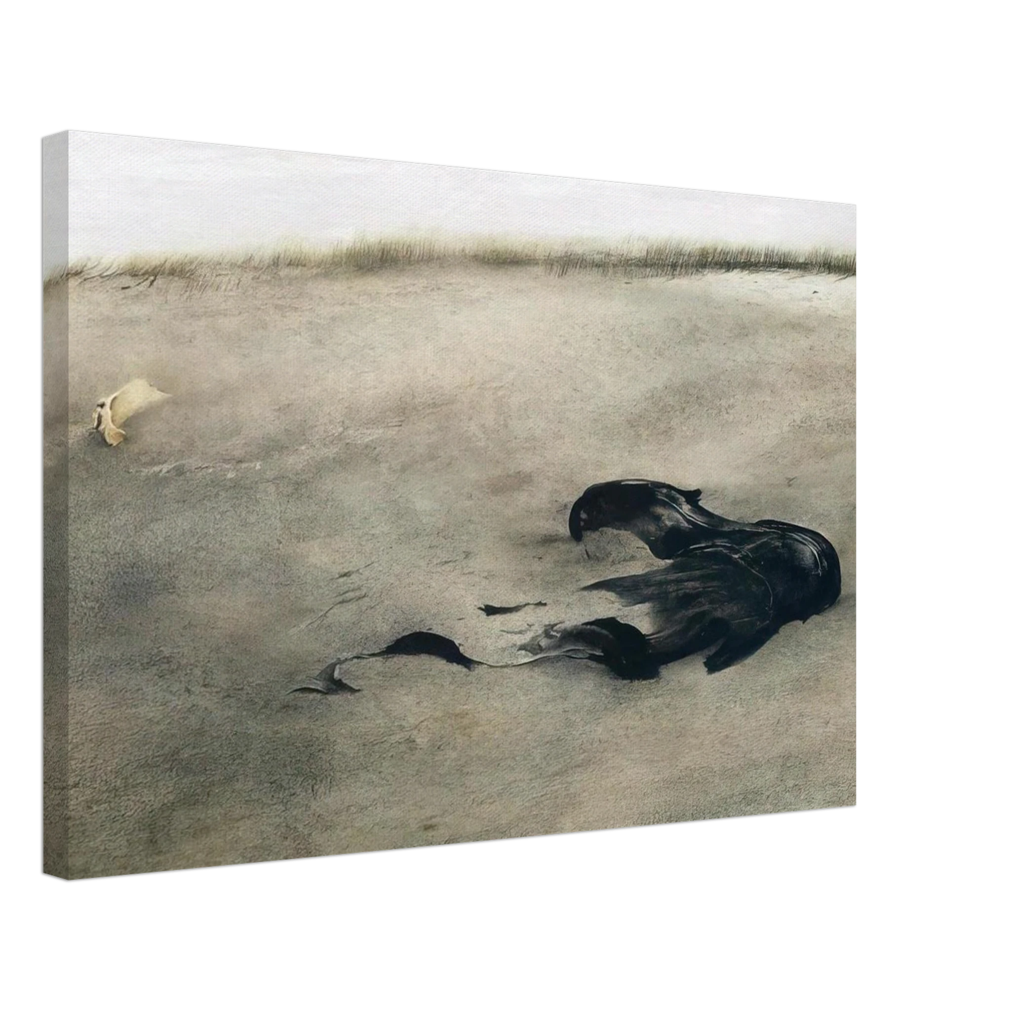 NOT DETECTED 37 Canvas | Andrew Wyeth Canvas | Andrew Wyeth Prints