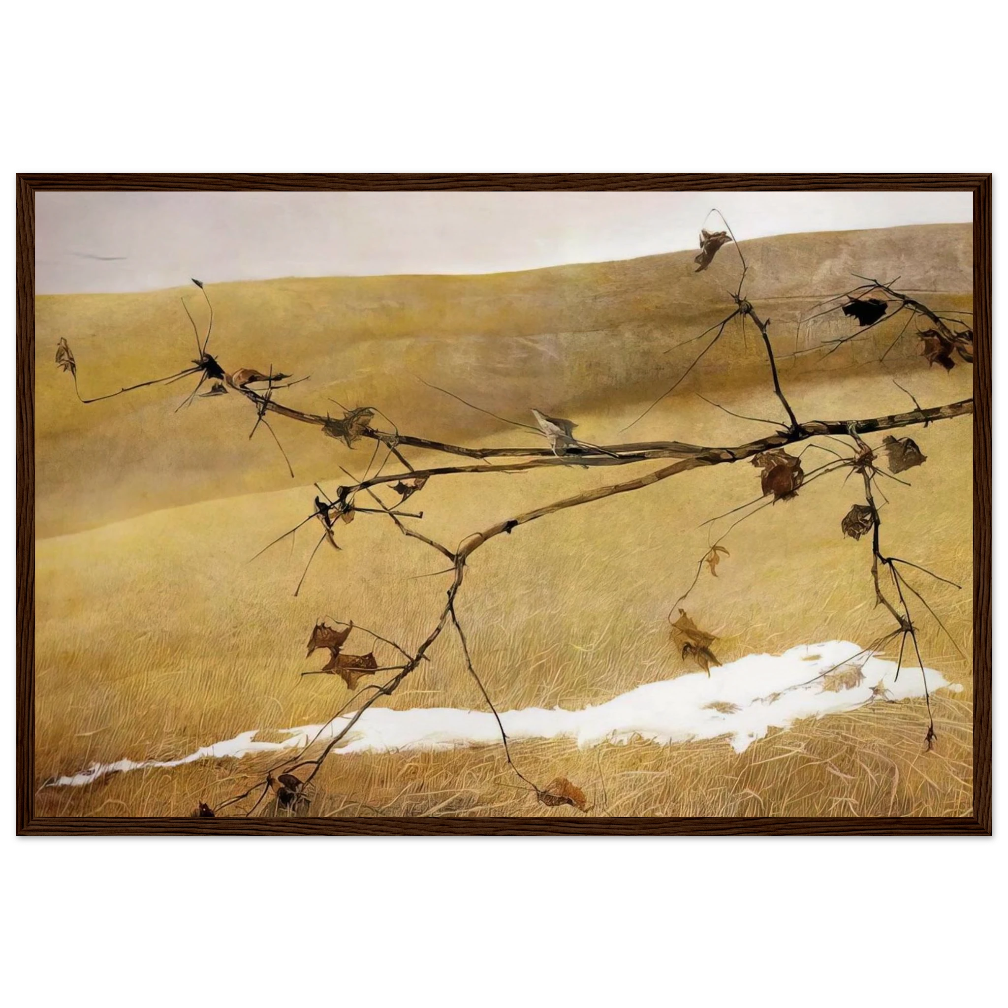 LONG LIMB Framed Poster | Andrew Wyeth Framed Prints Wall Art | Andrew Wyeth Prints