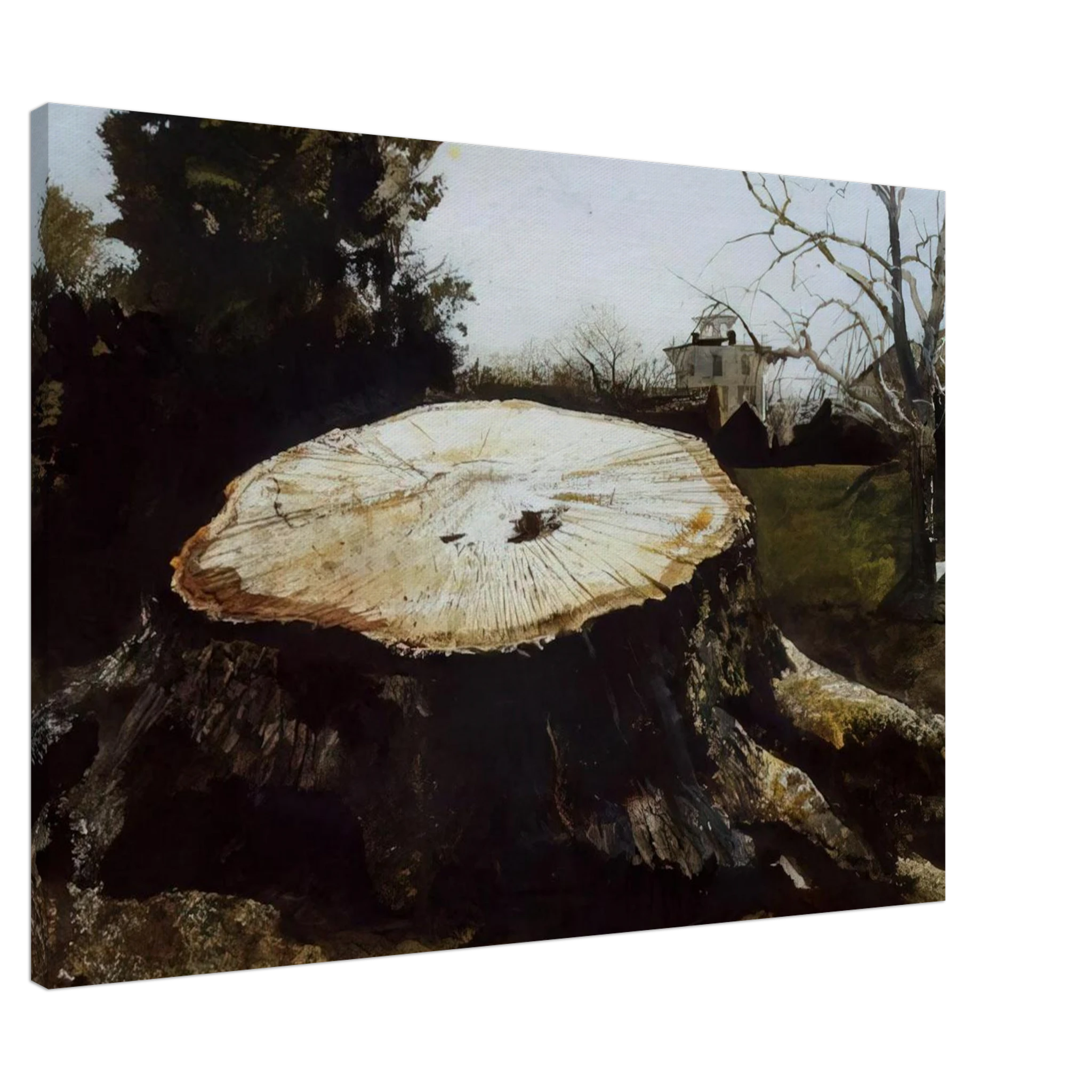 THE BIG OAK Canvas | Andrew Wyeth Canvas | Andrew Wyeth Prints