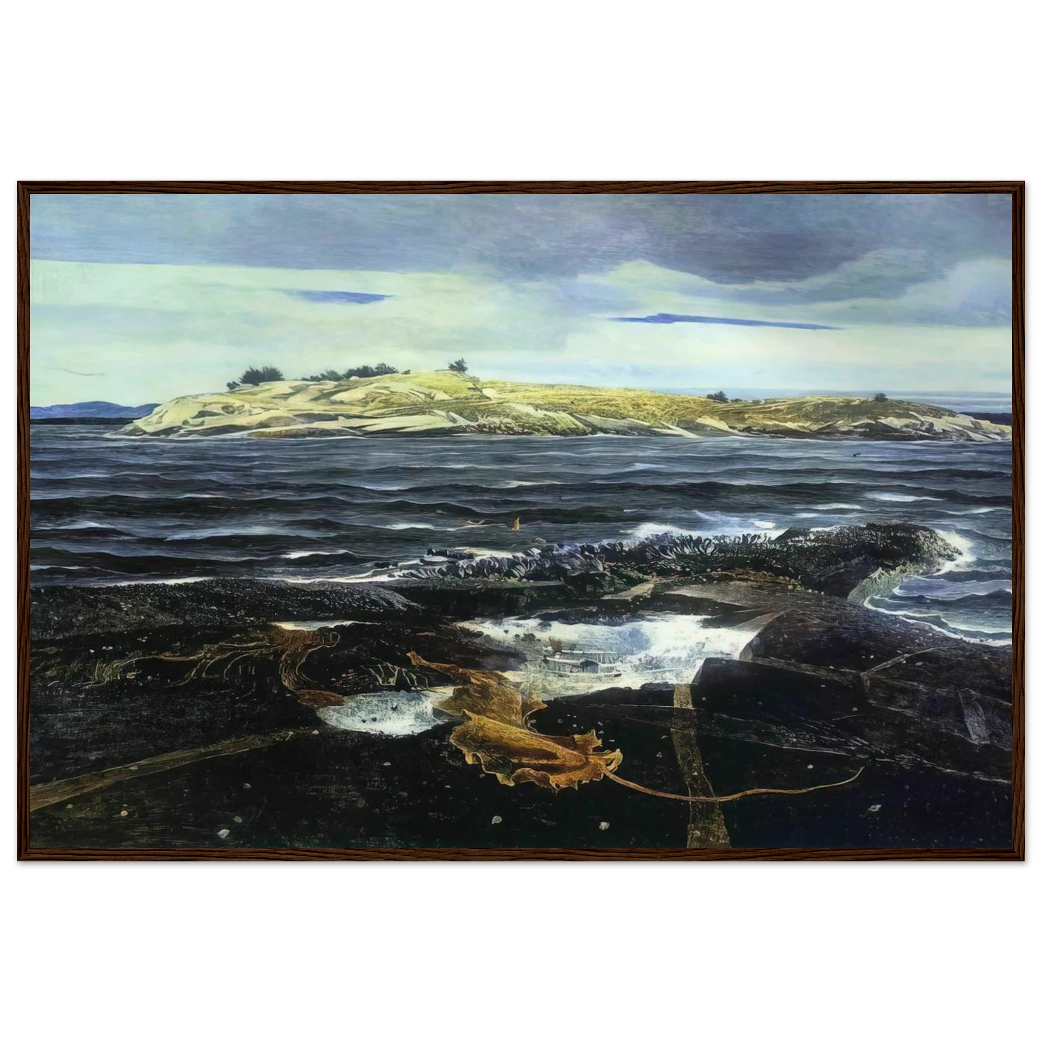 LITTLE CALDWELLS ISLAND Framed Poster | Andrew Wyeth Framed Prints Wall Art | Andrew Wyeth Prints