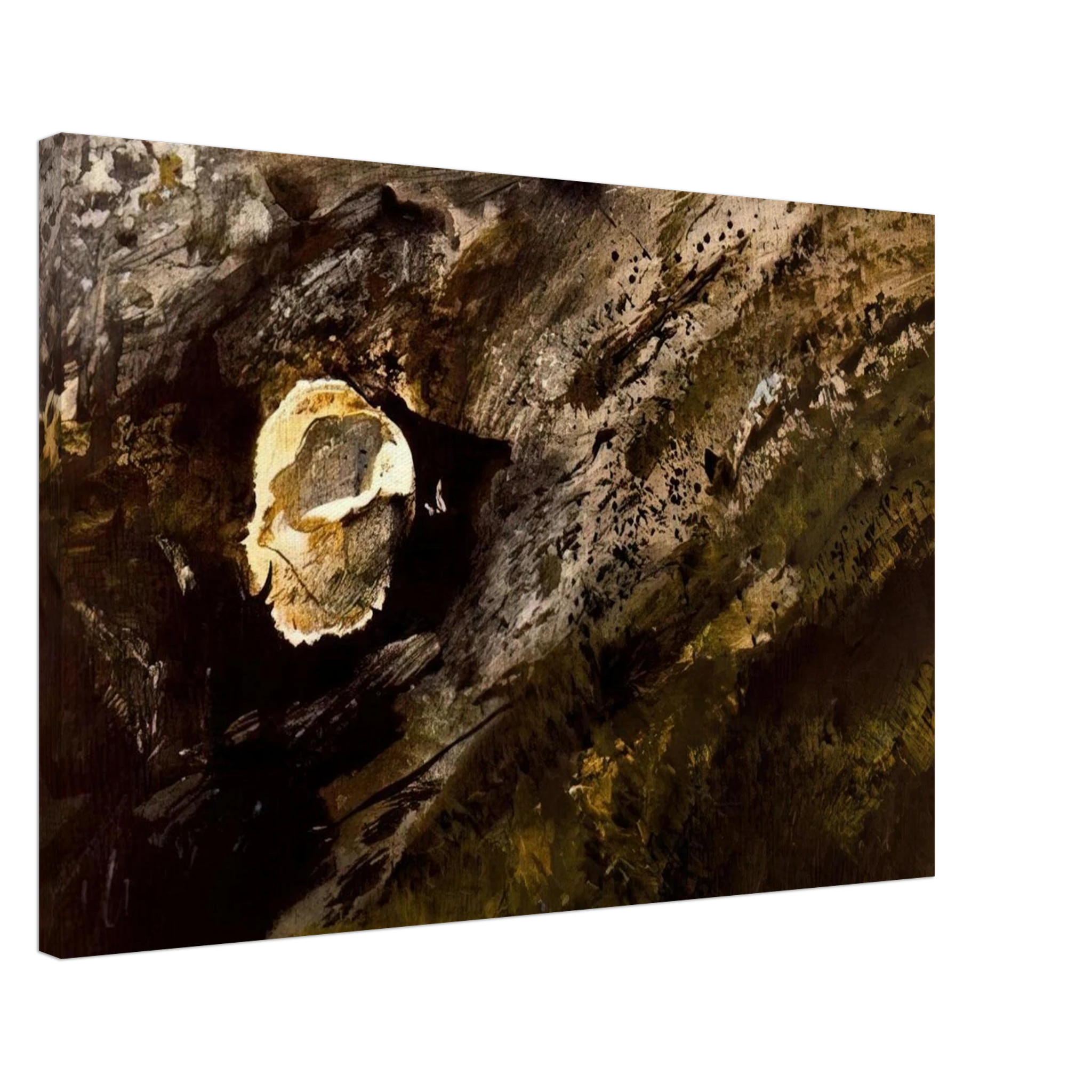 INLAND SHELL Canvas | Andrew Wyeth Canvas | Andrew Wyeth Prints