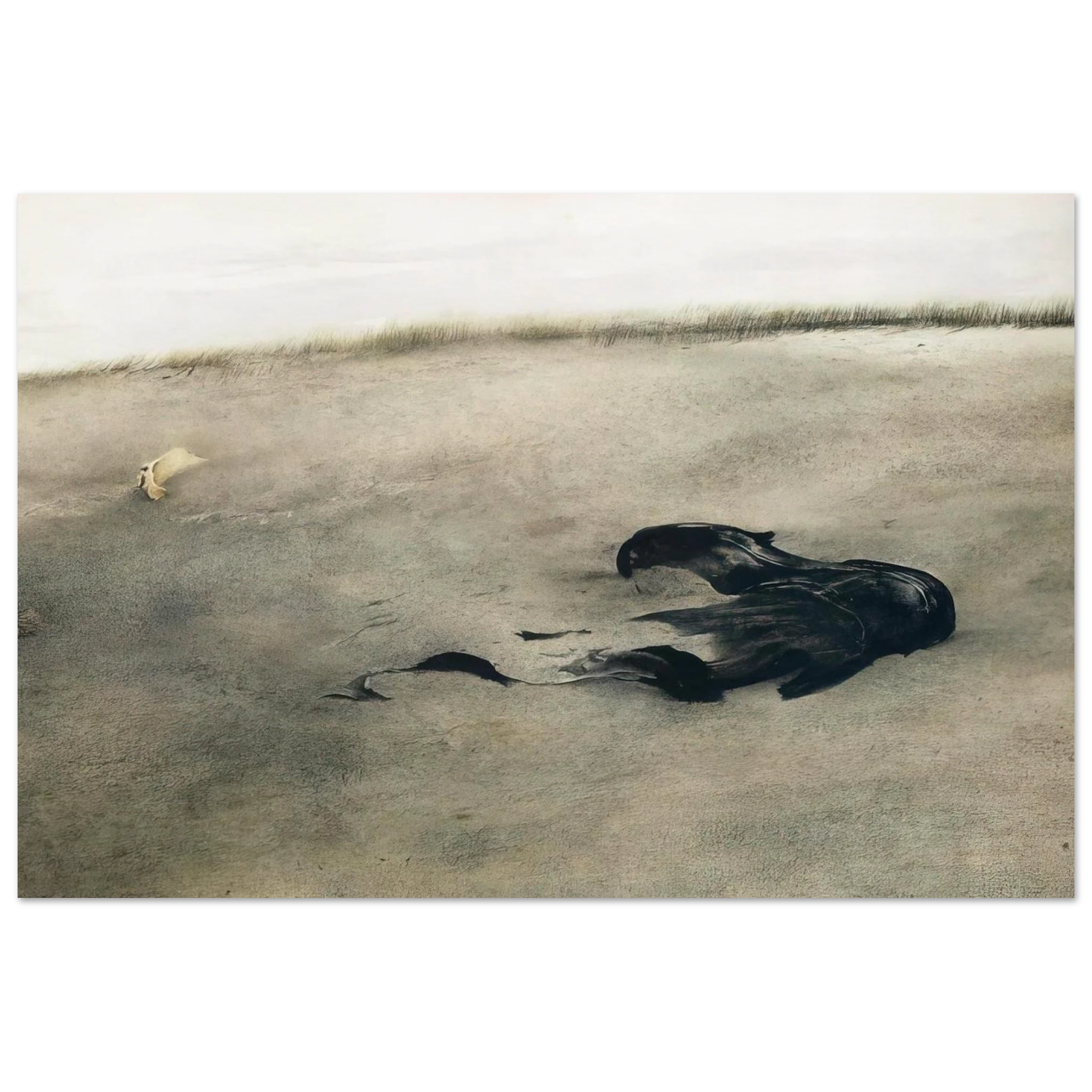 NOT DETECTED 37 Poster | Andrew Wyeth Poster | Andrew Wyeth Prints