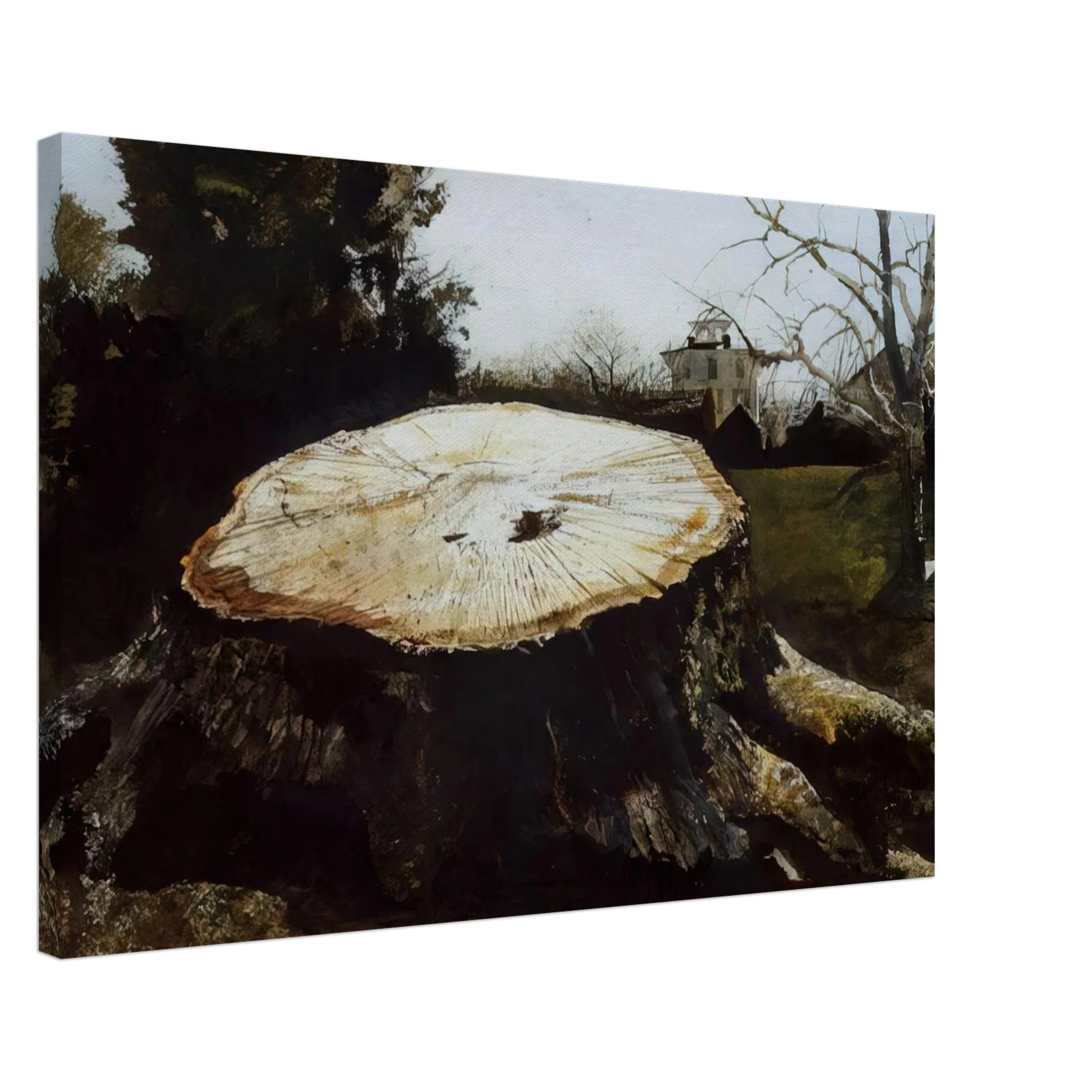 THE BIG OAK Canvas | Andrew Wyeth Canvas | Andrew Wyeth Prints