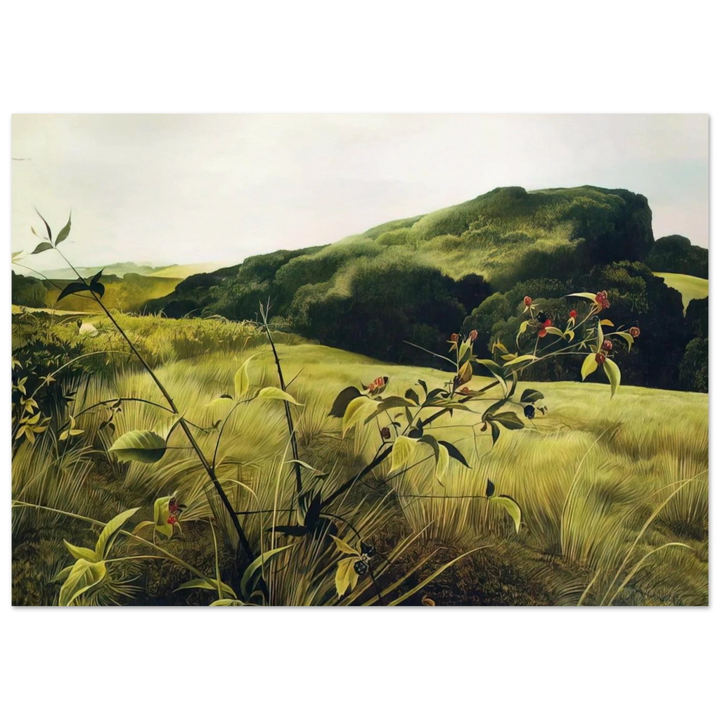 BLACKBERRY PICKER Poster | Andrew Wyeth Poster | Andrew Wyeth Prints