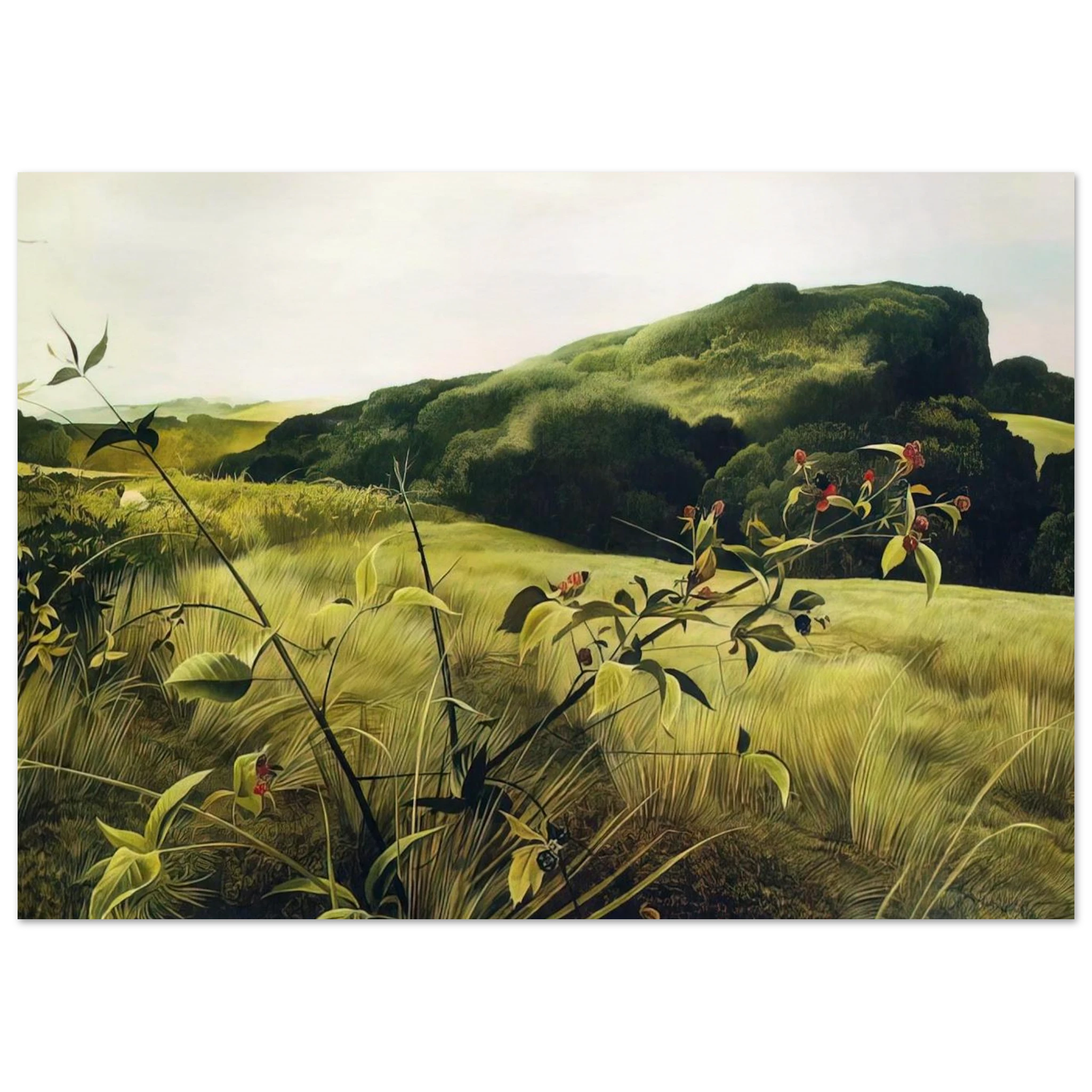 BLACKBERRY PICKER Poster | Andrew Wyeth Poster | Andrew Wyeth Prints