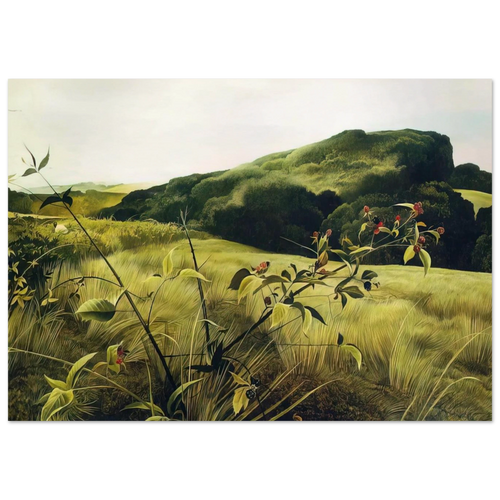 BLACKBERRY PICKER Poster | Andrew Wyeth Poster | Andrew Wyeth Prints