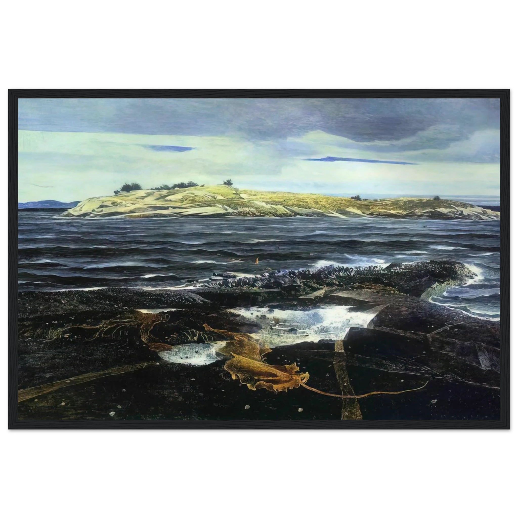 LITTLE CALDWELLS ISLAND Framed Poster | Andrew Wyeth Framed Prints Wall Art | Andrew Wyeth Prints