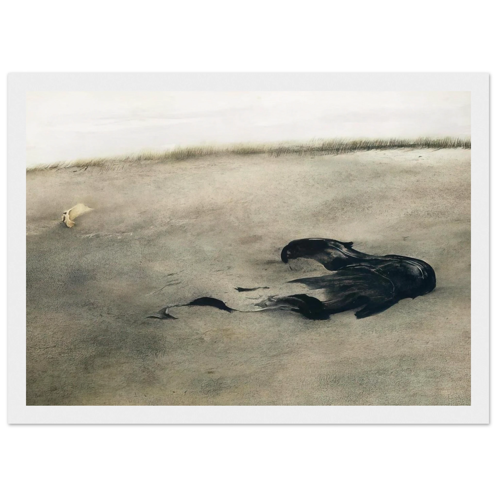 NOT DETECTED 37 Framed Poster | Andrew Wyeth Framed Prints Wall Art | Andrew Wyeth Prints