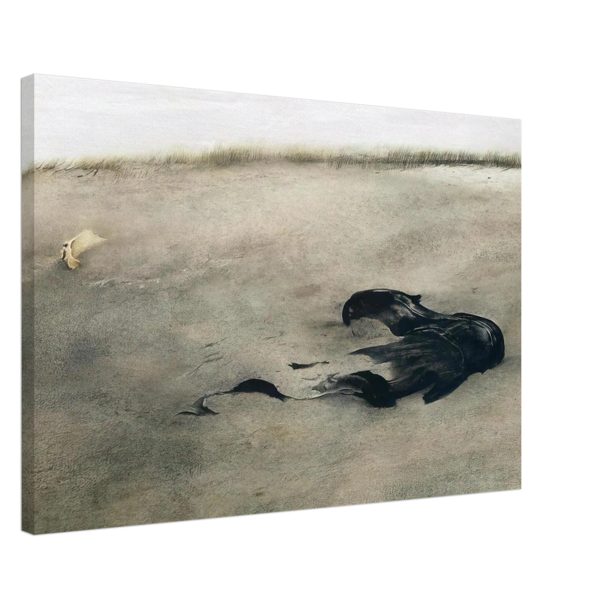 NOT DETECTED 37 Canvas | Andrew Wyeth Canvas | Andrew Wyeth Prints